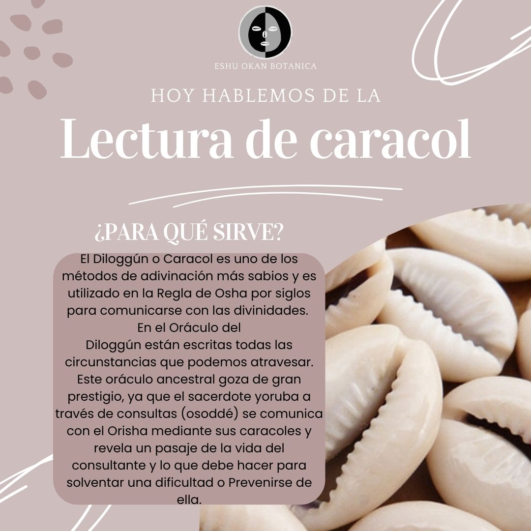 WhatsApp Image 2024-10-23 at 5.09.00 PM (1)