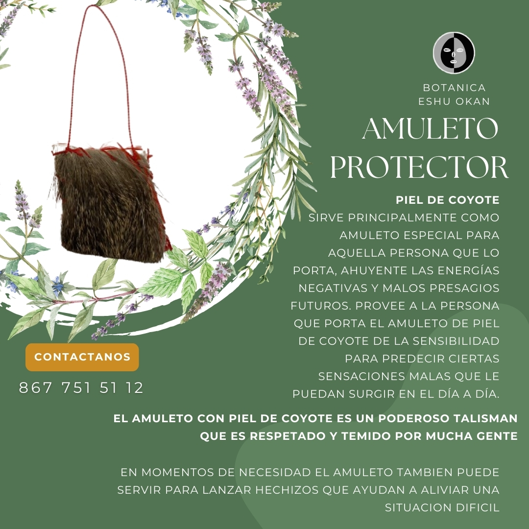 WhatsApp Image 2024-10-23 at 5.09.08 PM