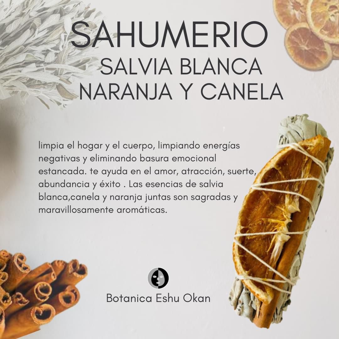 WhatsApp Image 2024-10-23 at 5.23.56 PM (1)