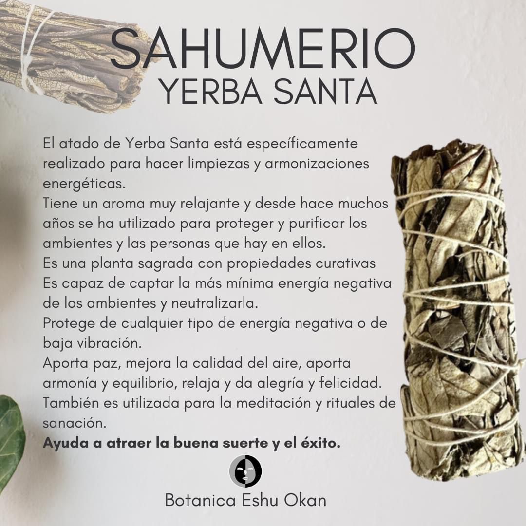 WhatsApp Image 2024-10-23 at 5.23.56 PM