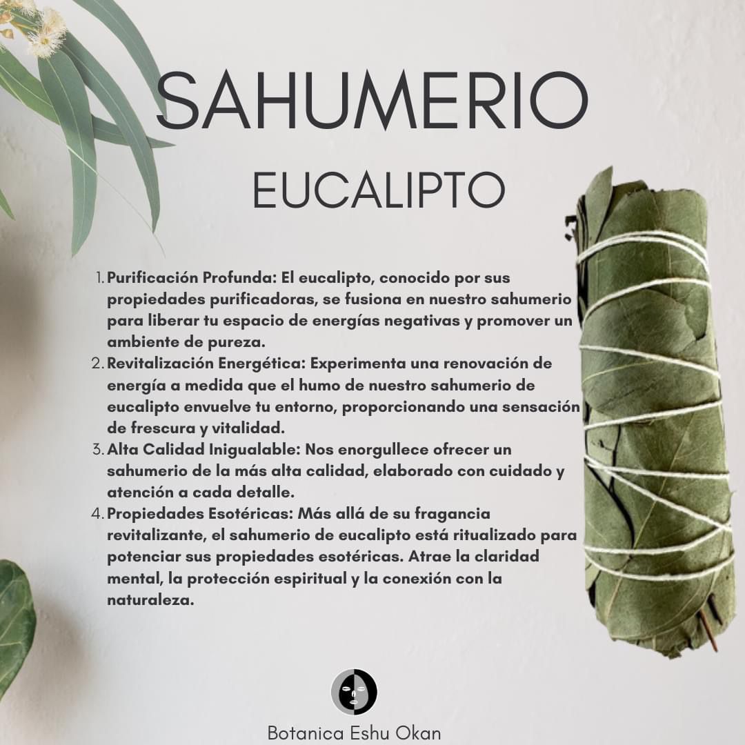 WhatsApp Image 2024-10-23 at 5.23.57 PM (2)