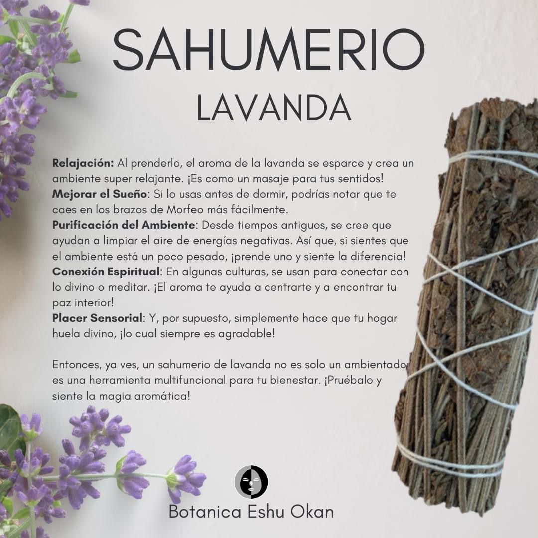 WhatsApp Image 2024-10-23 at 5.23.57 PM